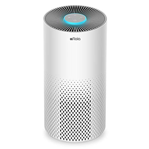 Do Air Purifiers Help with Dust?