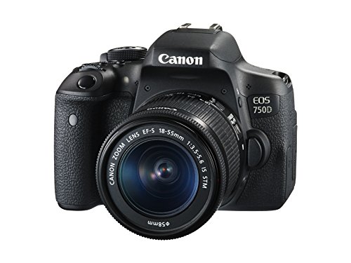Canon EOS 750D 24.2MP Digital SLR Camera (Black) + 18-55 IS STM Lens + Memory Card + Carry Bag